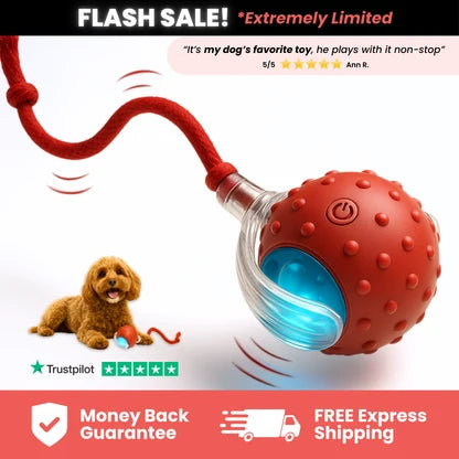 Interactive Electric Cat Rolling Ball with LED